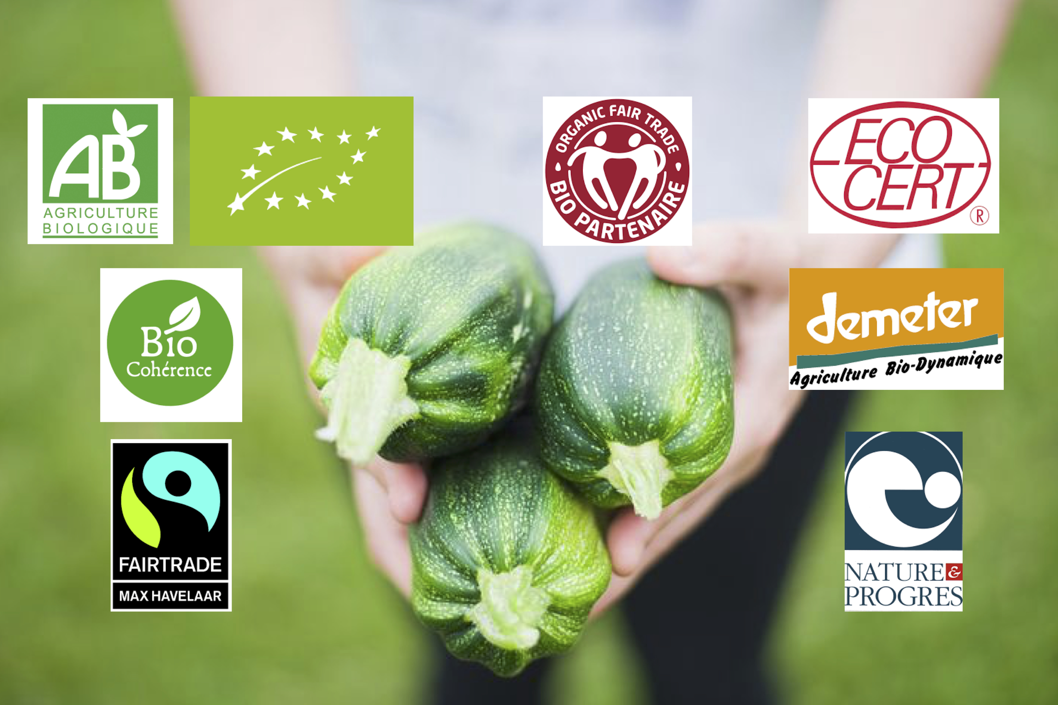 labels, bio, biologique, agriculture, normes, chartes, pesticides, insecticides, herbicides, AB, europe, demeter, nature et progres, bio cohérence, organic fair trade,